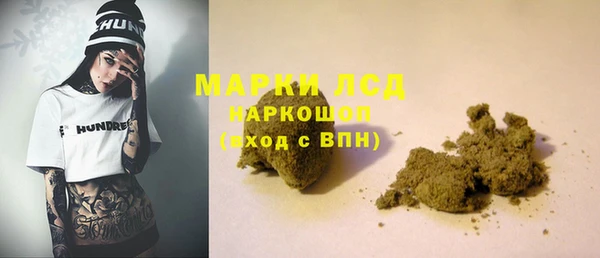 apvp Алзамай
