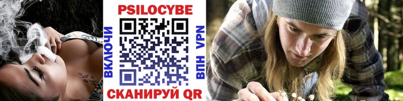 Псилоцибиновые грибы Cubensis  Краснообск 